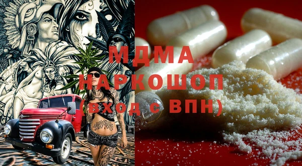 ГАЛЛЮЦИНОГЕННЫЕ ГРИБЫ Михайлов