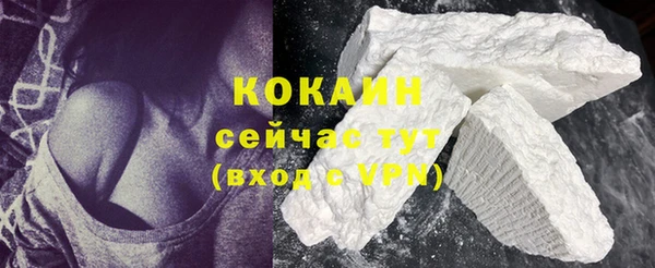 ГАЛЛЮЦИНОГЕННЫЕ ГРИБЫ Михайлов