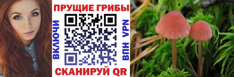 Галлюциногенные грибы Magic Shrooms  хочу   Нальчик 