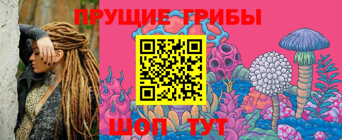 Галлюциногенные грибы ЛСД  продажа наркотиков  Галлюциногенные грибы мухоморы  Нальчик  Вход с VPN 