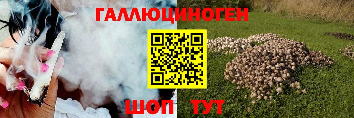 Галлюциногенные грибы прущие грибы Нальчик